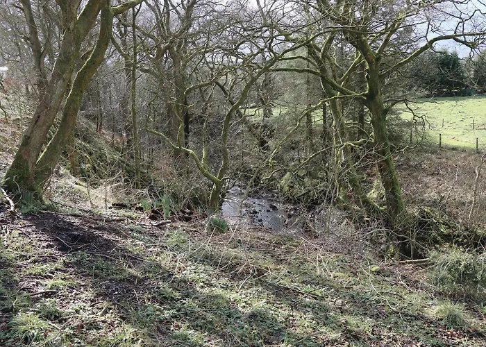 Malham 別荘 スキプトン